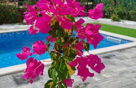 Apartman, Milovčići - Foto 21