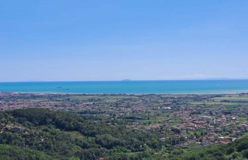 La Maestà di Alice - Foto 44