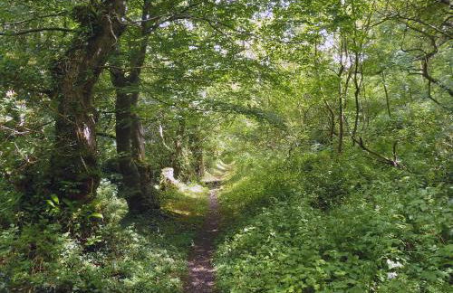 The Square - Foto 42