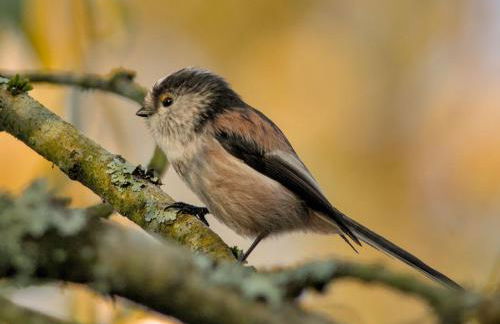 The Workshop- Eco Cottage by the Coastal Path - Photo 40