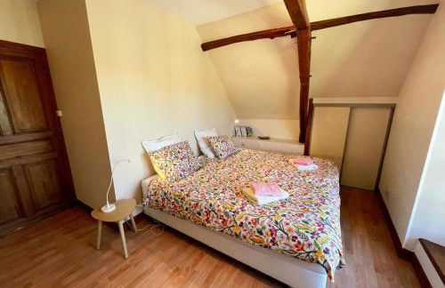 Gîte viticole tout inclus, jardin 3000m², vélos offerts, proche Saumur-Chinon-Langeais - FR-1-381-606 - Foto 29