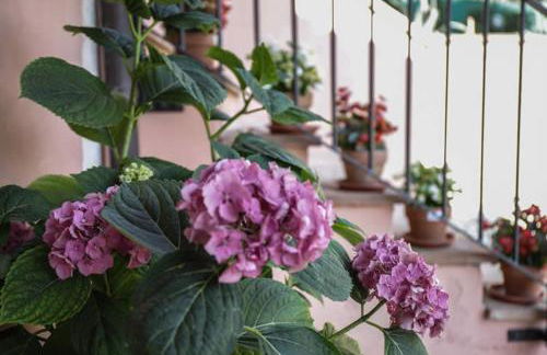 I Limoni Studios - Photo 53