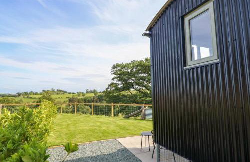 Charollais - Foto 16