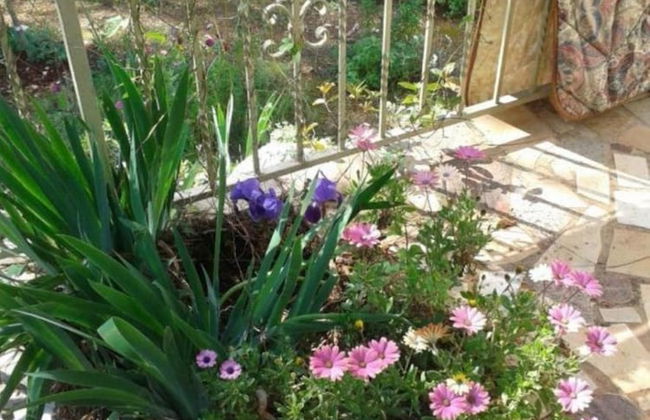 More - sea View - H - Foto 13