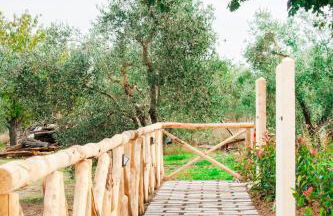 Agriturismo Poggio Degli Ulivi - Foto 14