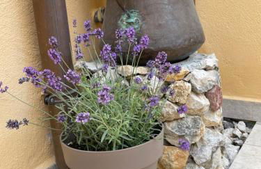 La Pulchella - Foto 20