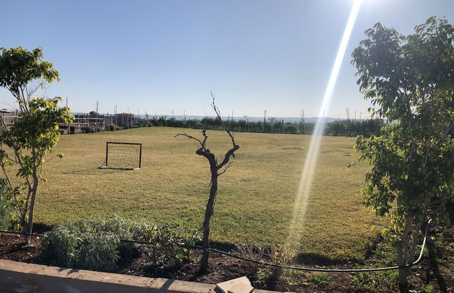 Bio et Bois - Foto 79