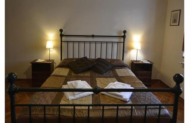 Bellavista farm of Quercini Maurizio - Foto 68