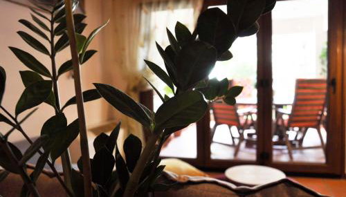 Sea La Vie - Photo 5