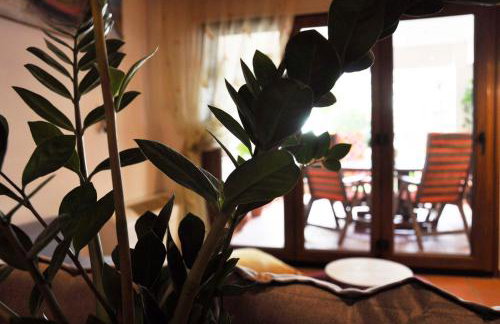 Sea La Vie - Photo 5