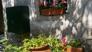 Planalto Dourado - Foto 5, Garden view