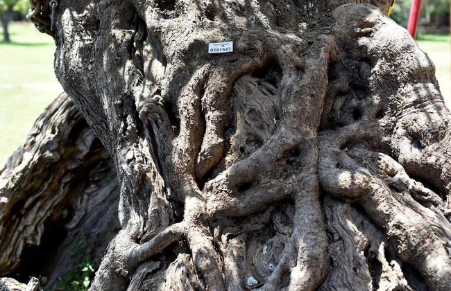 Agriturismo Santa Chiara - Foto 71