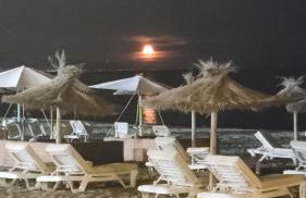 Marina Casares Beachside Apartment - Photo 18