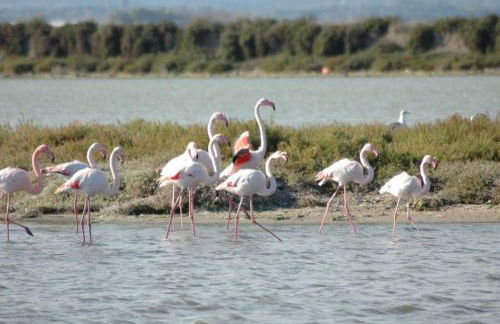 Maisonette L'OLIVIER - Foto 10