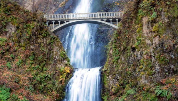 Trolebús turístico de las cascadas de Portland