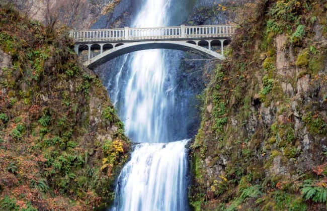 Trolebús turístico de las cascadas de Portland - Foto 4