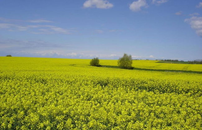 Cozy Holiday Home in Kägsdorf near Sea - Foto 28