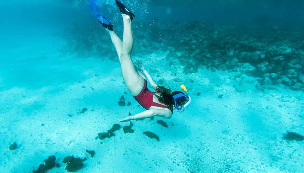 Snorkeling avec des requins + Exploration d'une épave - Photo 5, Snorkeling à Maafushi