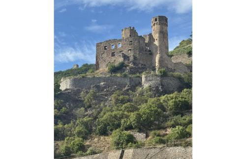 Apartment in Geisenheim with swimming pool - Foto 16