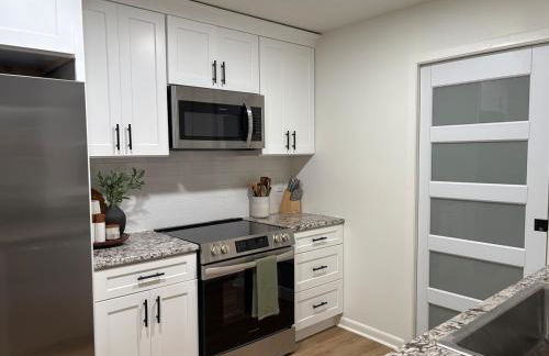 Modern 3 bedroom home downtown Forest city outstanding backyard, pet friendly - Foto 13