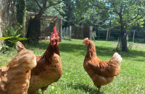 "La Botanique" Gîte de Charme dans un château de campagne & SPA - Foto 23