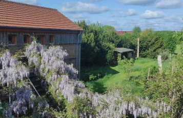 Dreigärten Brodowin - Foto 33