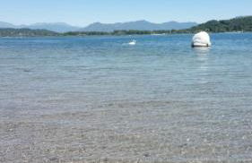 Blue A'Mare - Foto 40