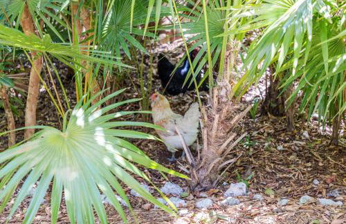The Florida Keys Treehouse in Marathon, FL - Foto 32