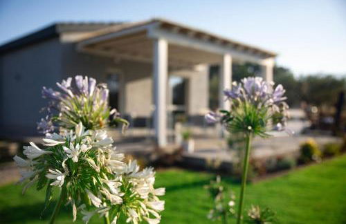 Appartamento Camisa - Il Fico - Foto 13