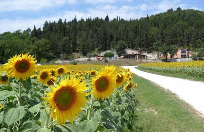 Agriturismo Il Casale - Photo 45