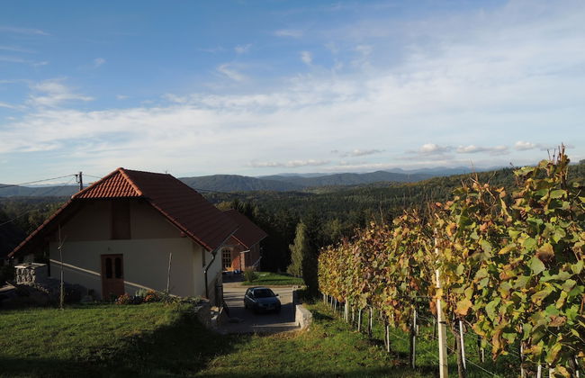 Vineyard cottage Pod piramido - Foto 18