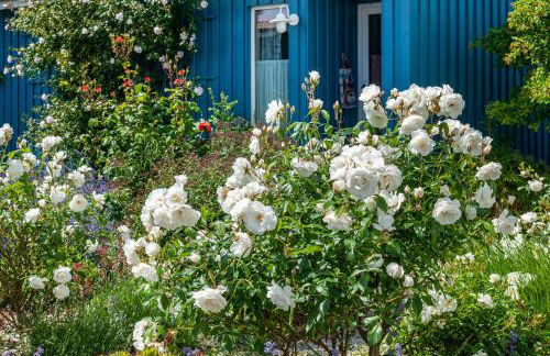 Möve Aba Appartment 11 - Foto 20