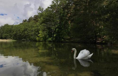 REMAR - Apartamenty Zefir nad Jeziorem Necko - Foto 28