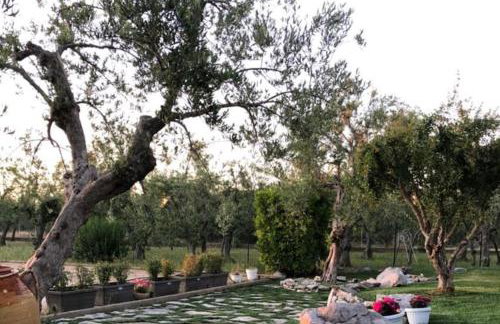 Villa Poggio Fiorito - Foto 17