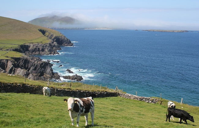 Fairfield Holiday Home No 13 - Foto 13