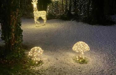 Winter Escape with heated pool - Foto 29