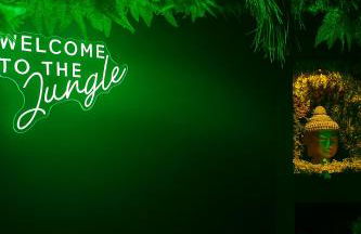 Jungle Room Strasbourg - Évasion Tropicale - Sauna Jacuzzi Balnéo - Foto 39