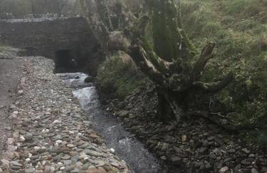 Lakeland Retreat - Foto 13