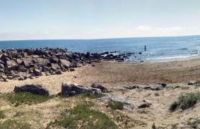 BAMBOU NATURE - Foto 28