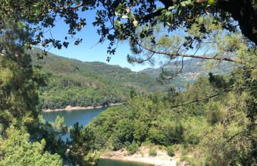 Sobreiro Valley - Casa Firmino - Foto 31