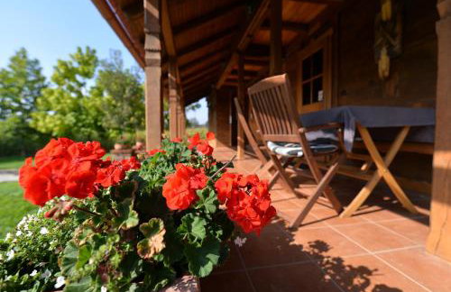 Old Oak House with pool - Foto 9