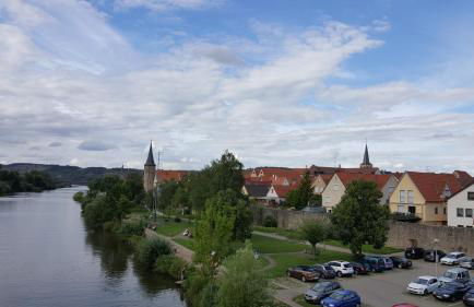 Direkt am Main - Foto 21