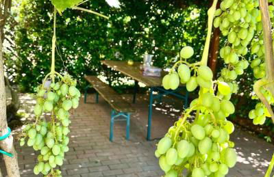 Villa storica 3Lasagne, tra Verona e Venezia - Foto 9