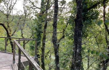 Le Mas d'Angèle - Foto 47