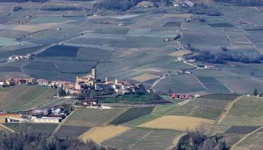 Agriturismo La Ruota - Photo 2