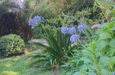 Casa Verde do Lago - Foto 10