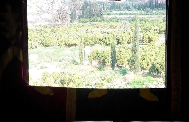 La Joya del Valle de Ricote - Photo 10