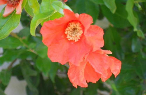 Caterina Residence - Foto 32