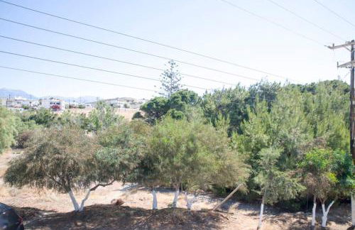 Johnny's Apartment - Photo 35