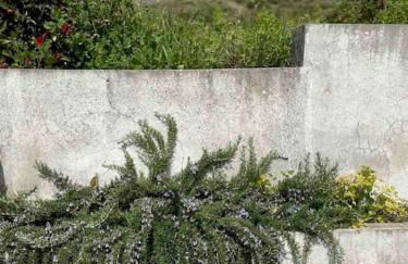 Casa da Celeste - Foto 55